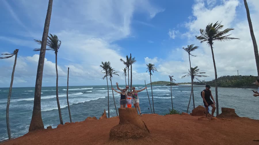 Guests taking in a palm-lined coastal viewpoint