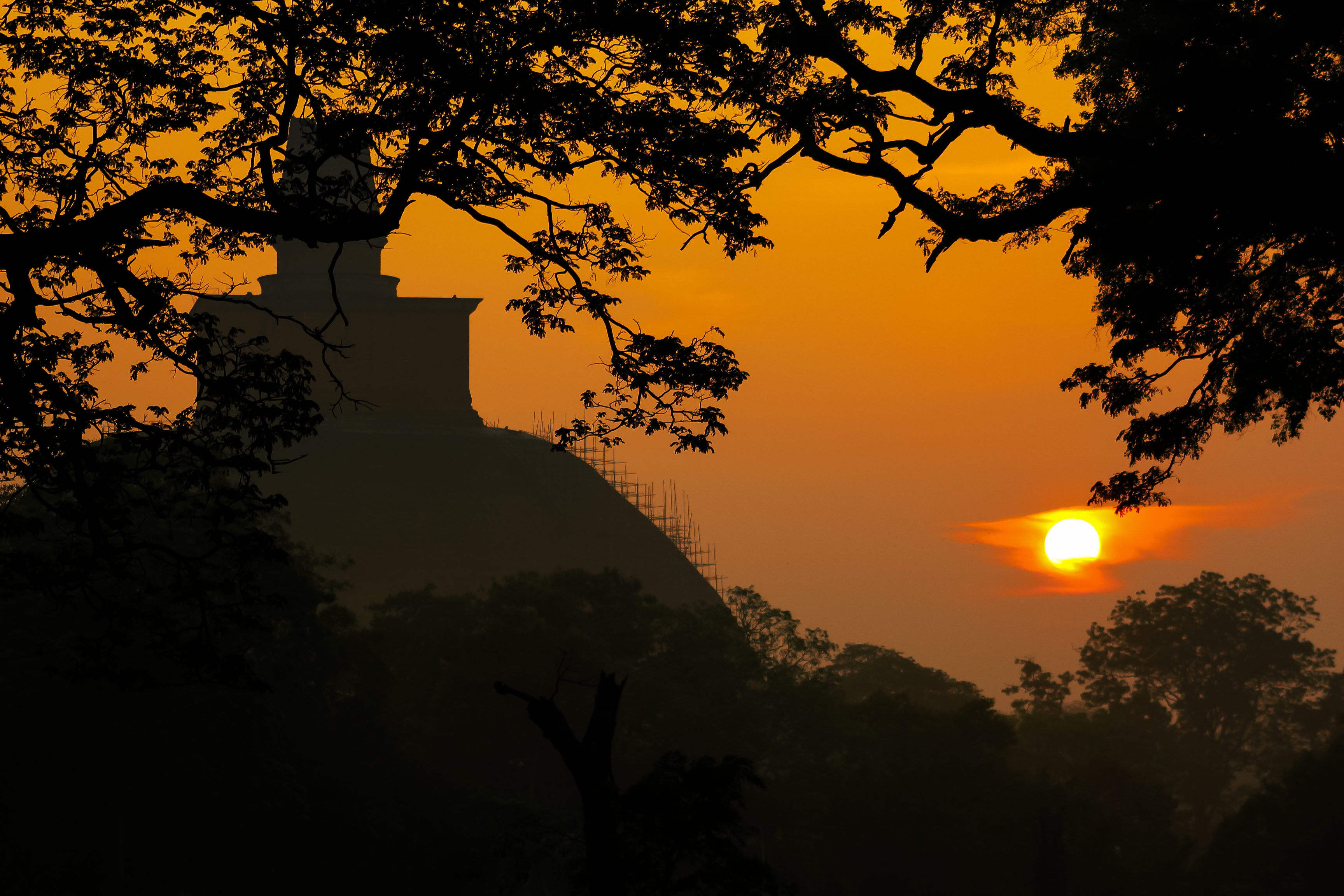 The vast red-brick dome of Jethawanaramaya stupa rising at Anuradhapura