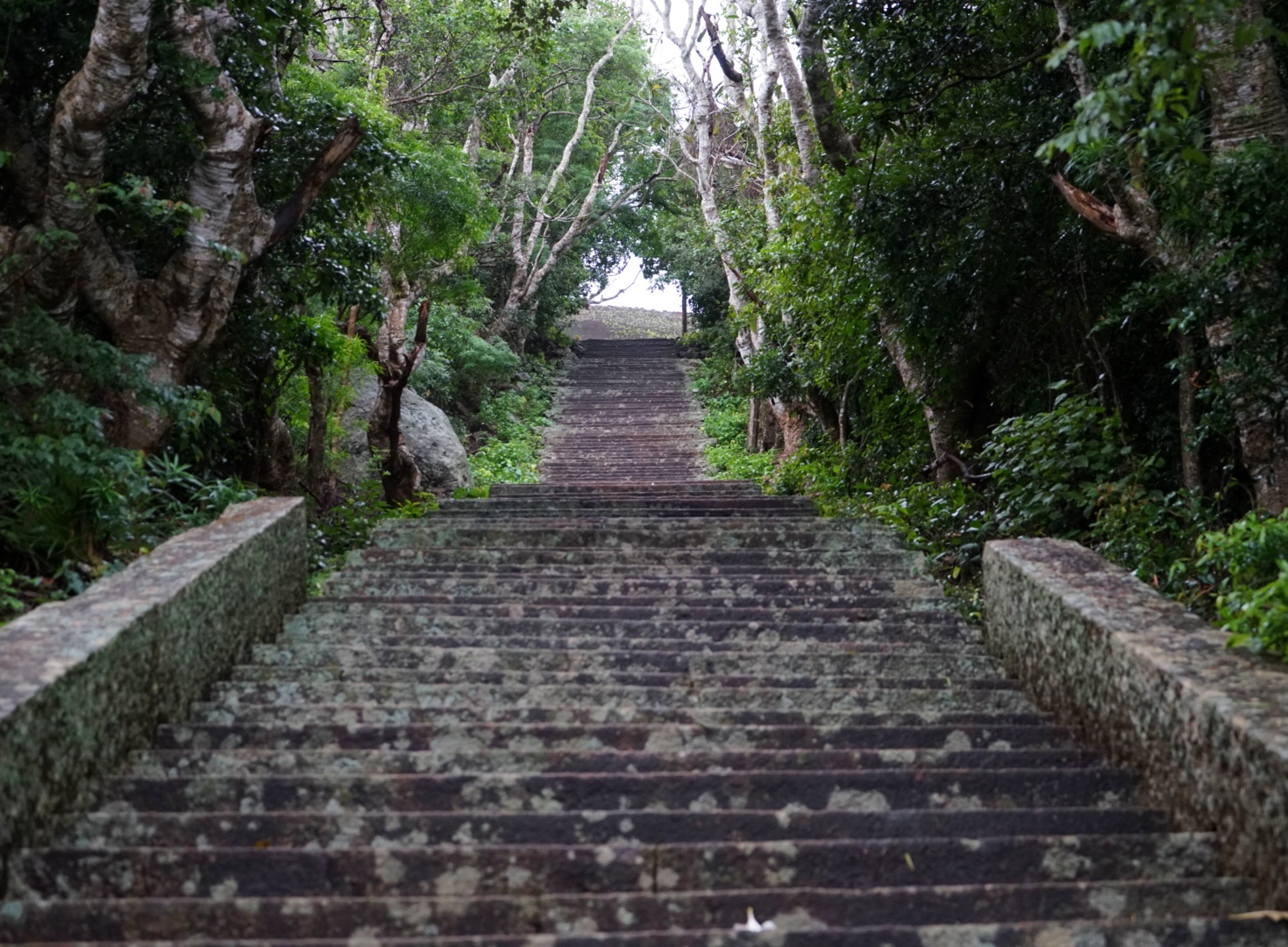 The wide ancient granite stairway climbing Mihintale