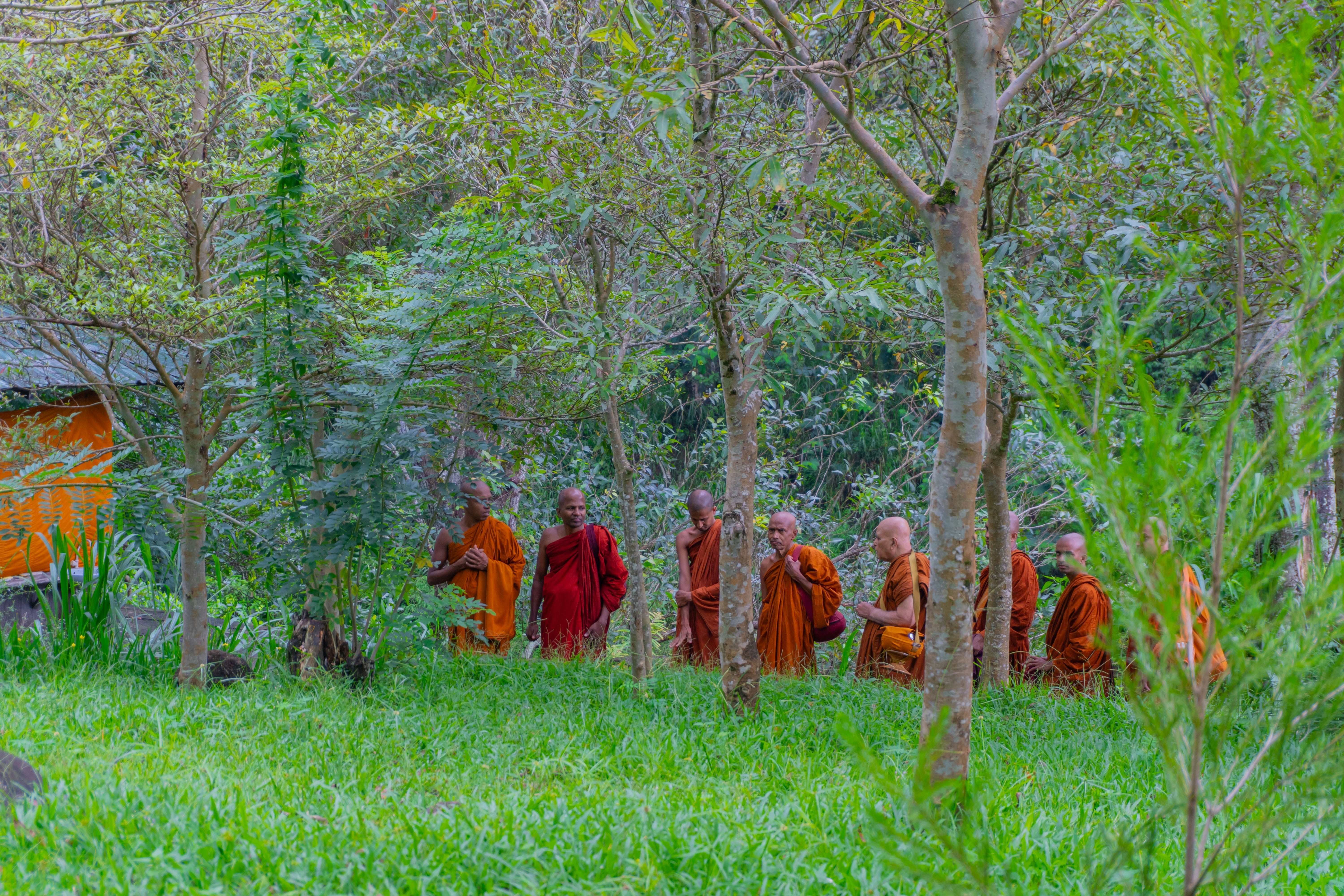 Monks at morning offering