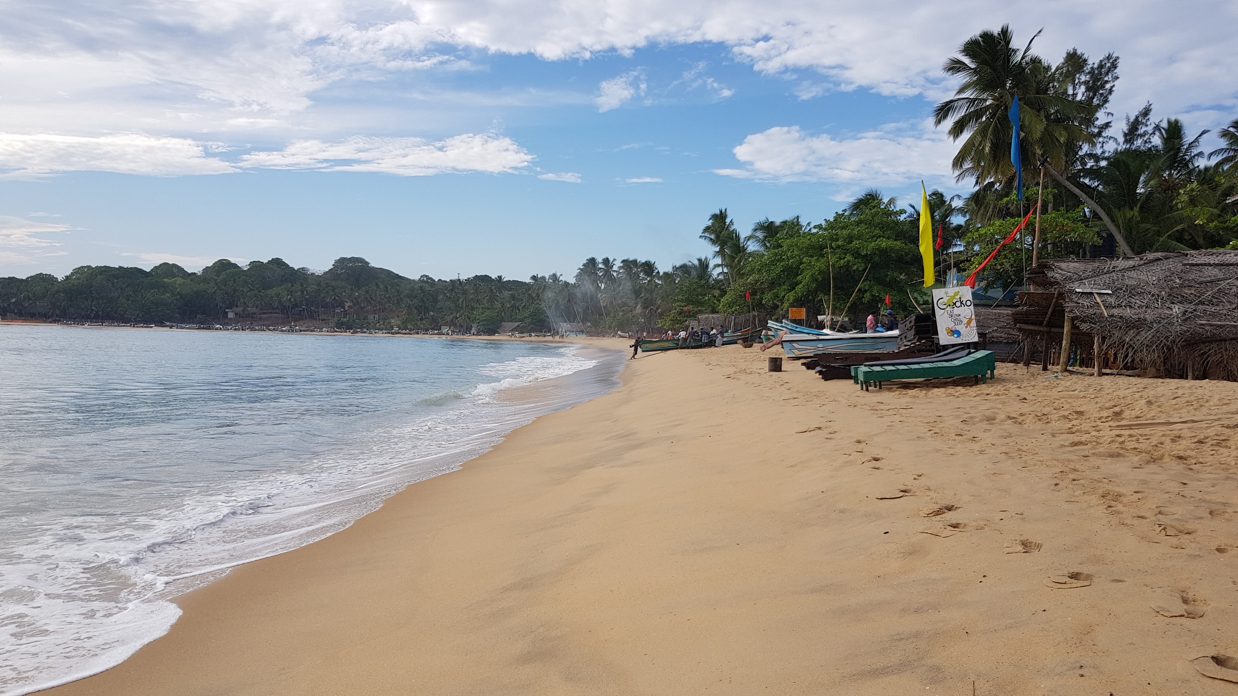 The wide golden beach at Arugam Bay in the morning, palms and fishing boats along the shore