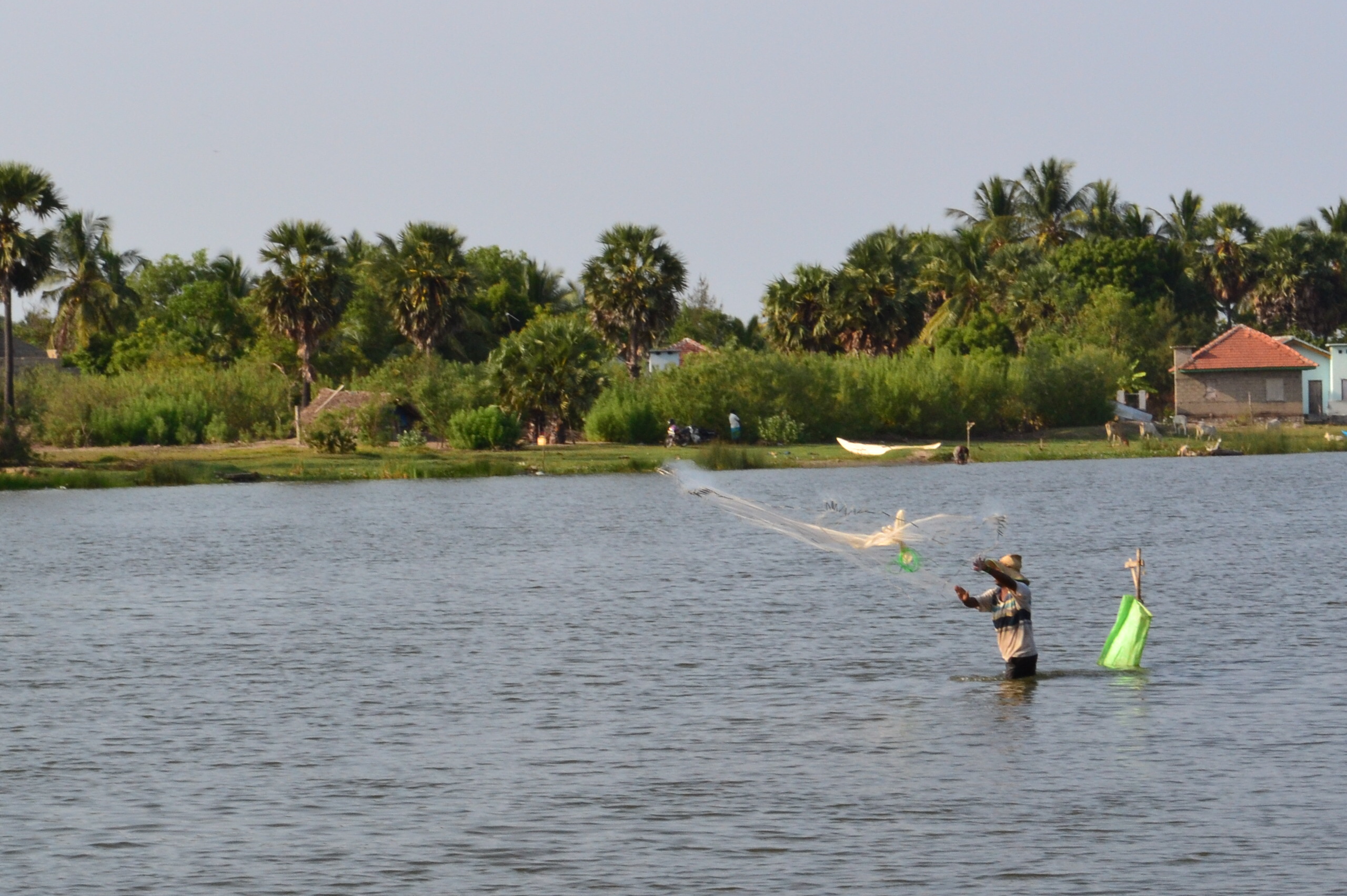 Traditional fishing on the water at Pottuvil