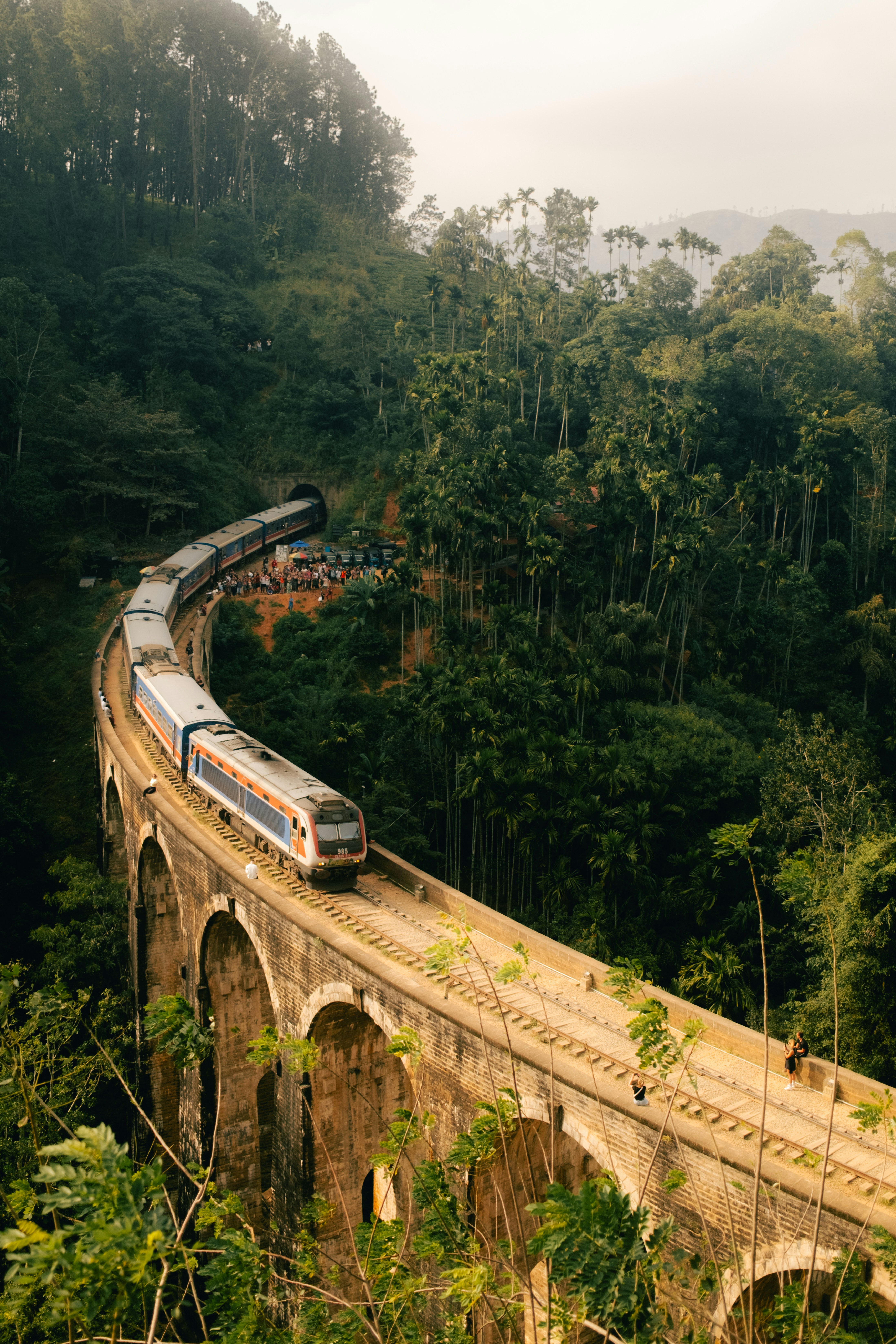 Train crossing the Nine Arches Bridge through jungle