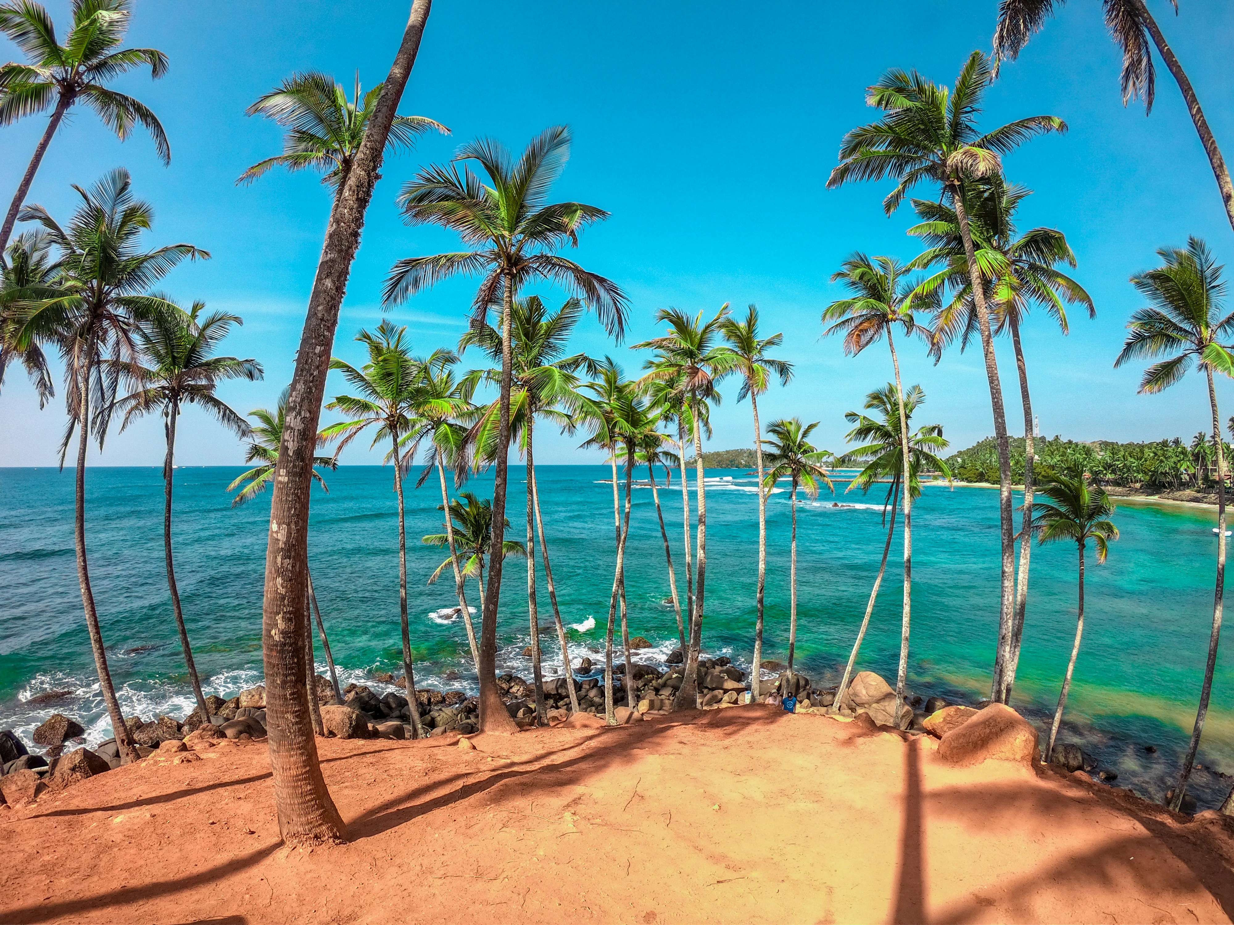Coconut Tree Hill at Mirissa with palms over the ocean