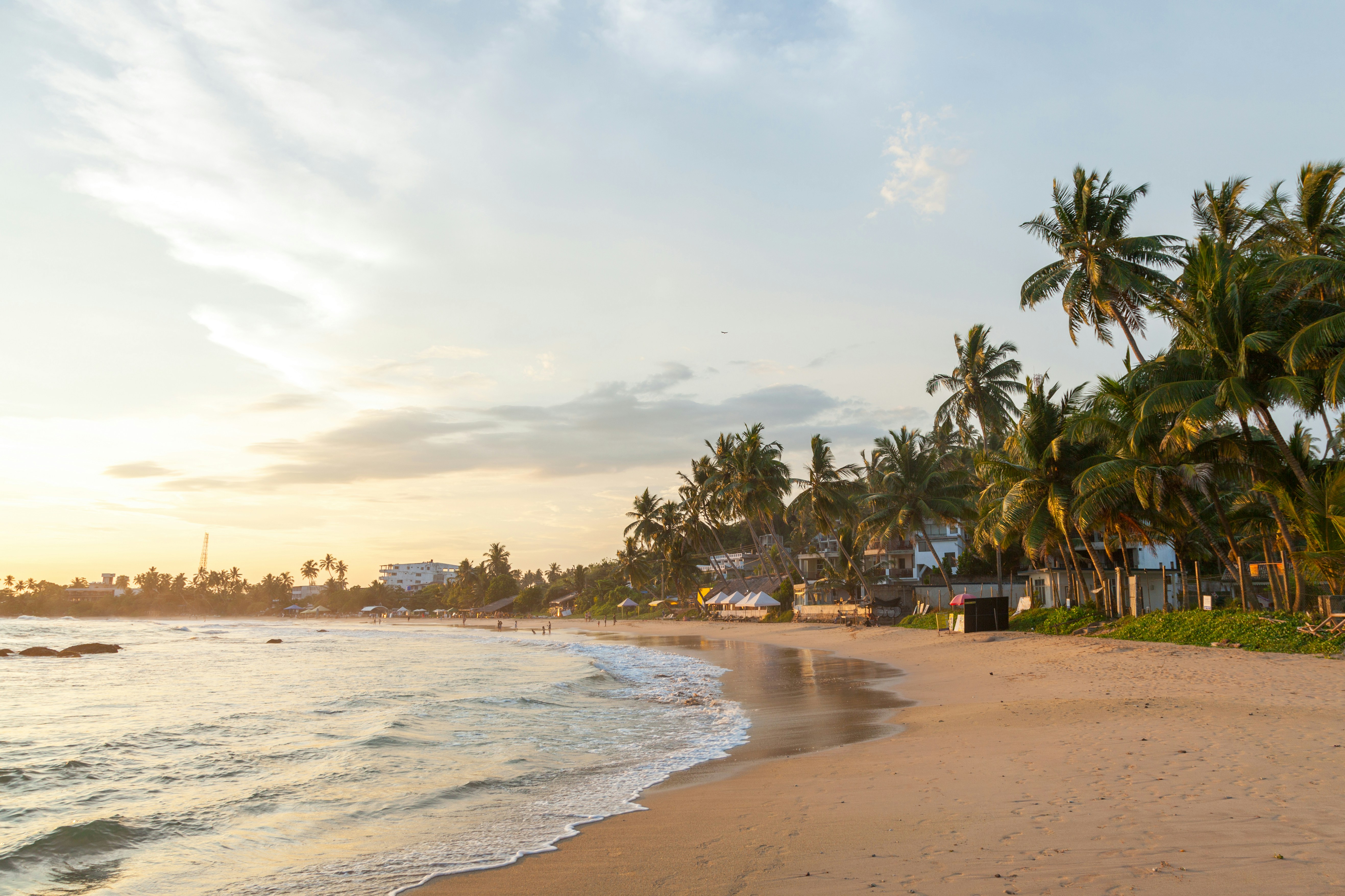 Mirissa palm beach